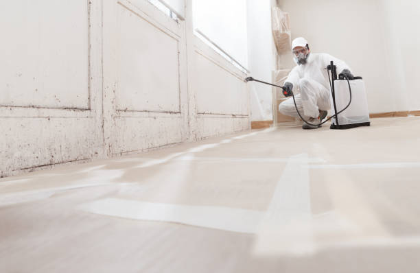 24/7 Emergency Mold Remediation experts in Bartlett, IL