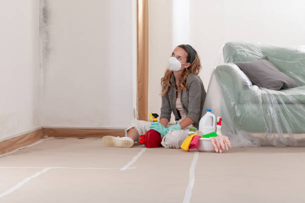Reliable Mold Remediation contractor in Bartlett, IL by 24 Hour Mold Removal